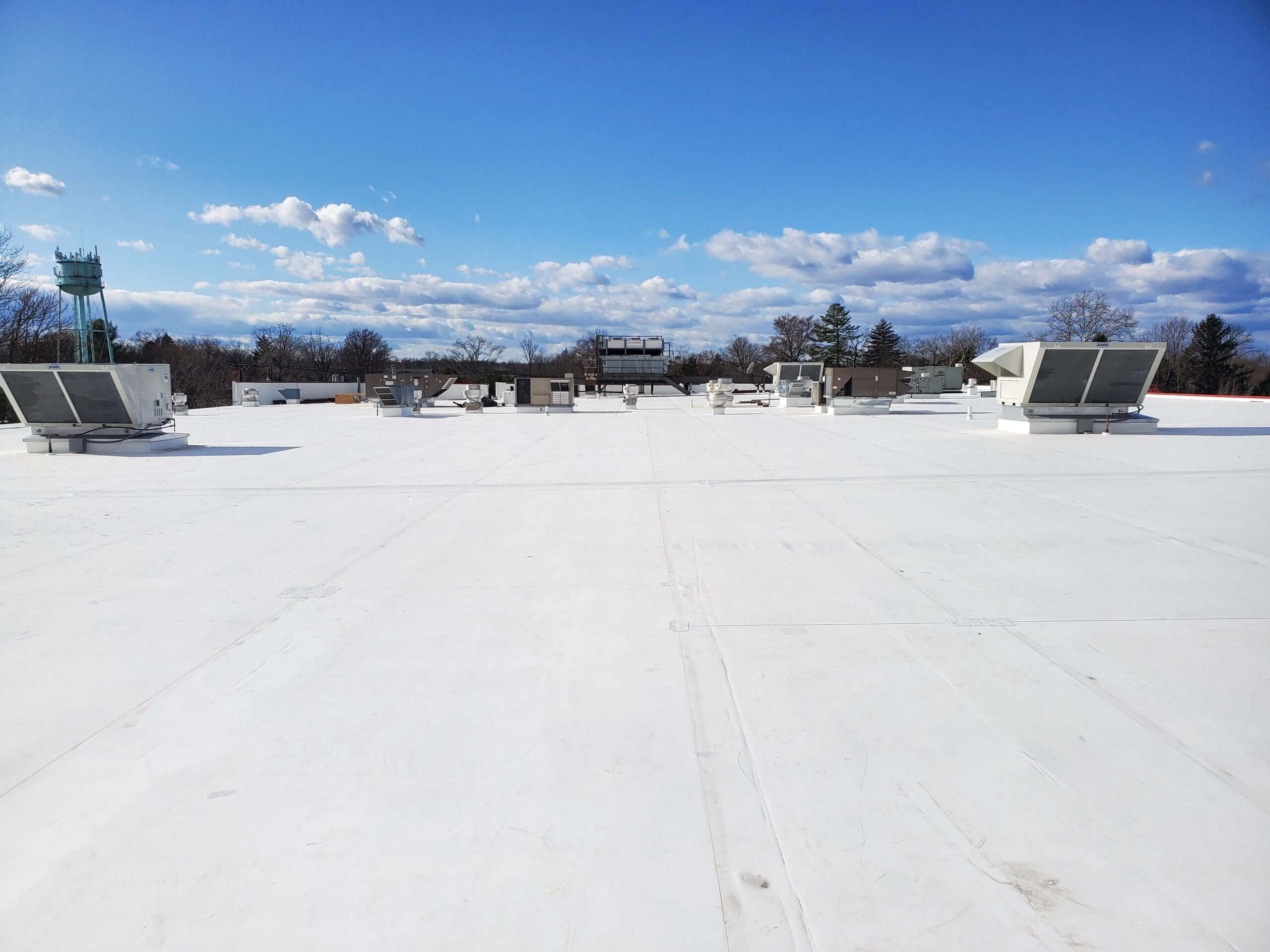 Roof